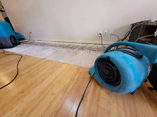 Professional Basement Flood Cleanup technician working in Mount Arlington, NJ